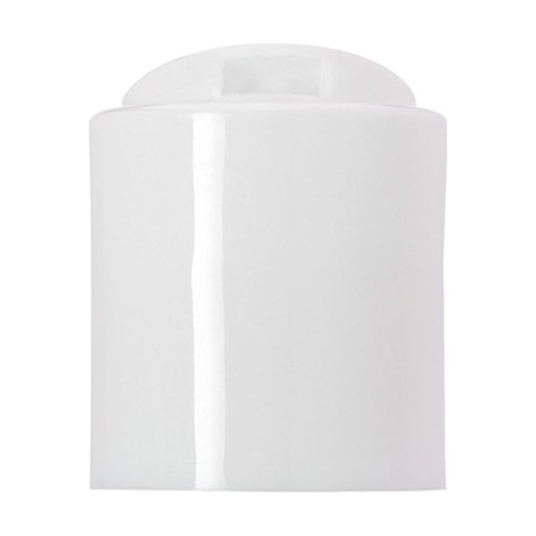 20-410 White PP Disc Top Cap